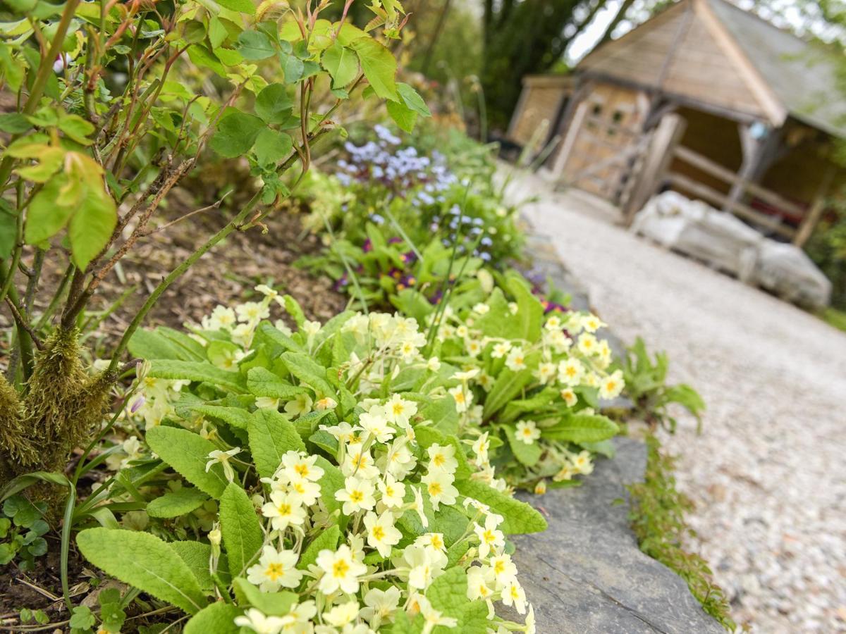 Mimi'S Cottage Liskeard Zewnętrze zdjęcie